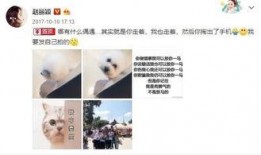 娱乐吃瓜别当真,吃瓜群众，娱乐新闻背后的真相